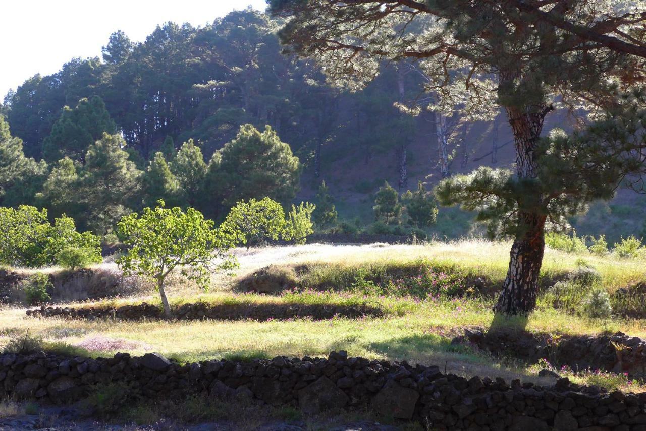 Casa Imeldo Y Eloisa Apartman El Pinar de El Hierro Kültér fotó